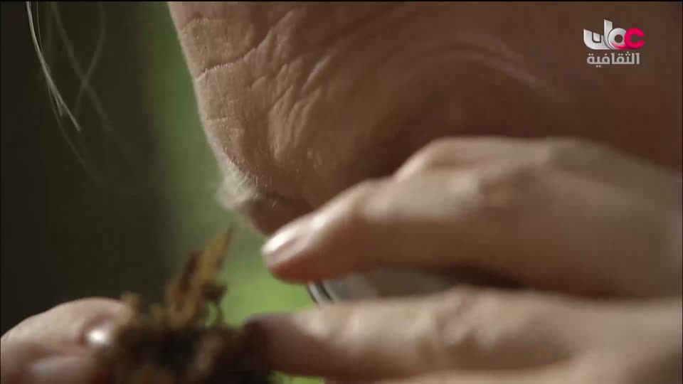 البرنامج الثقافي - البحث عن المعرفة ج4