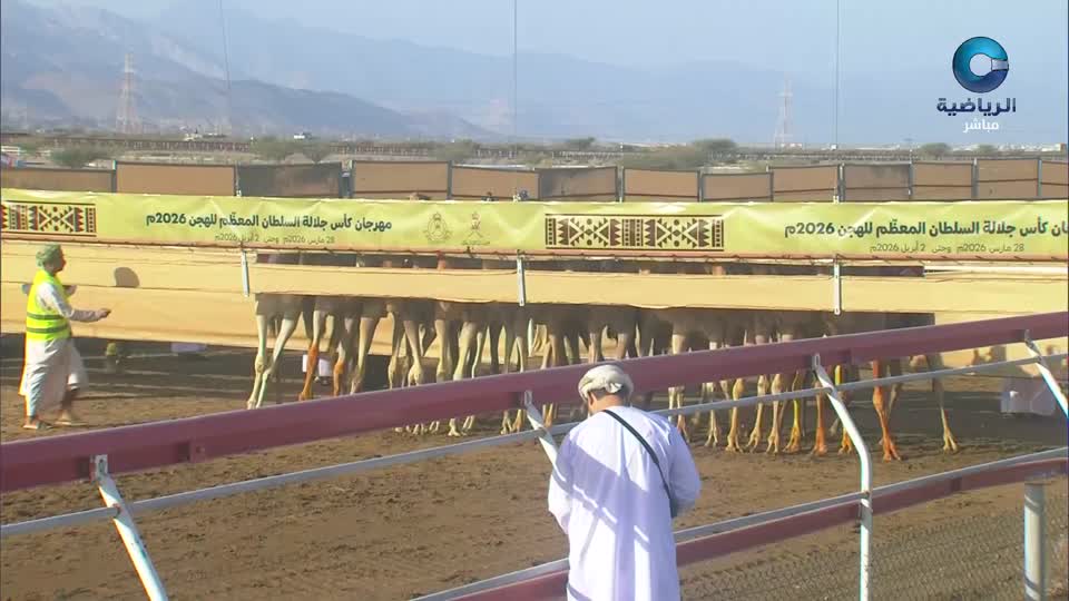 السباق الختامي لكأس جلالة السلطان للهجن 2026