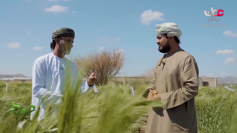 البرنامج العلمي - حصاد - الحلقة 9