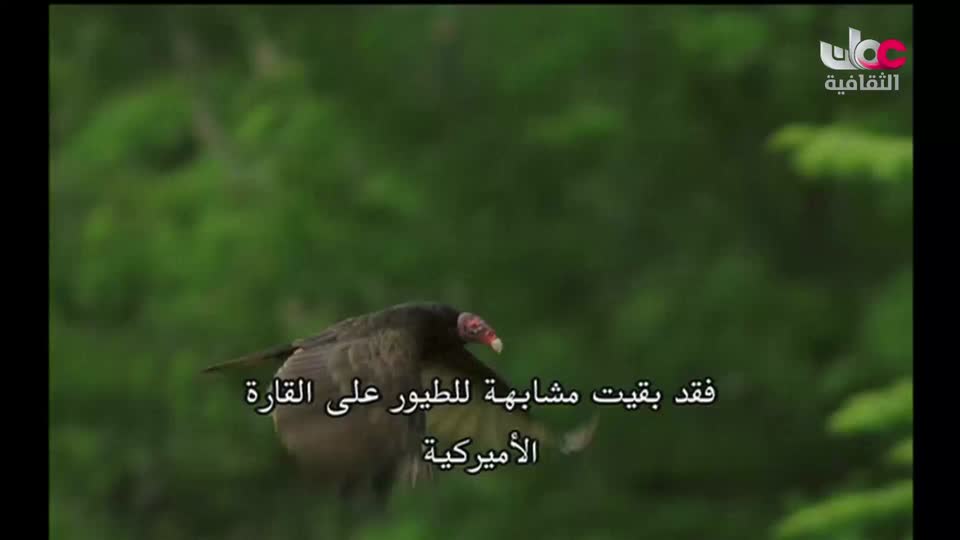 بحيرات وجبال - الحلقة 9