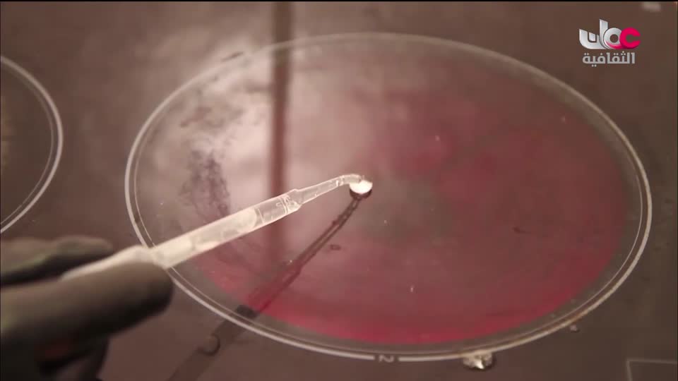 البرنامج الثقافي داخل العقل - الحلقة 9