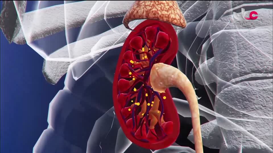 البرنامج الثقافي - زيوت عطرية - الحلقة 9