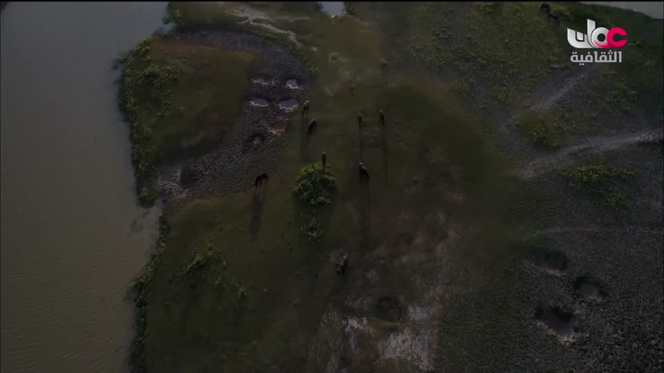 البرنامج الثقافي الدلتا في العالم - الحلقة 2