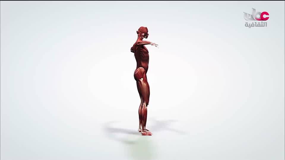 البرنامج الثقافي رحلة اكتشاف وتطور - الحلقة 9