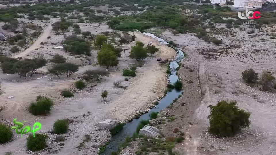 البرنامج العلمي - حصاد - الحلقة 10