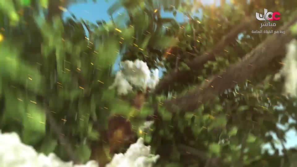 مسلسل الاطفال - حكاية جدتي - الحلقة 10