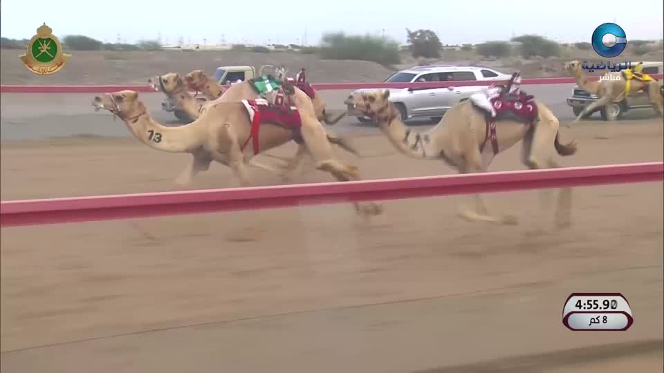 الاستوديو المصاحب للهجن