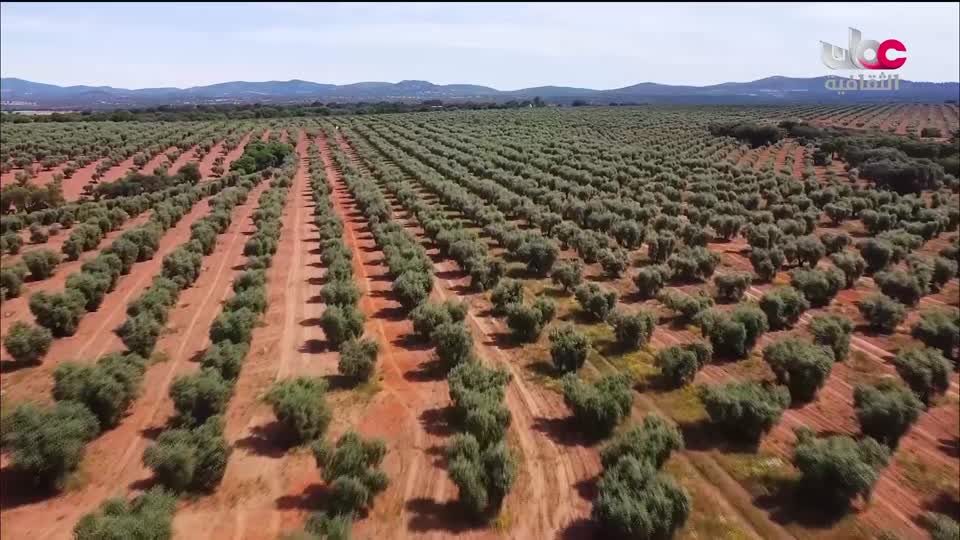 برنامج - فيتامينات - الحلقة 10