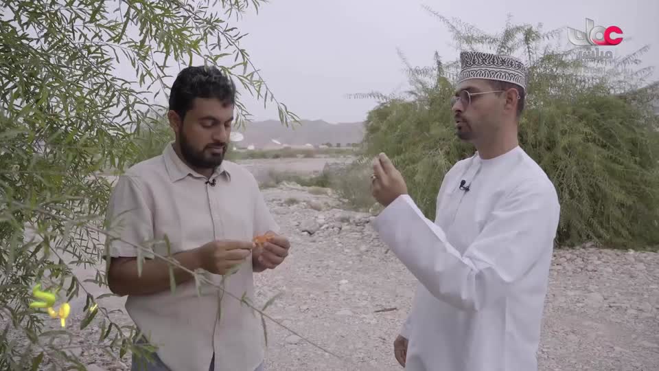 البرنامج العلمي - حصاد - الحلقة 10