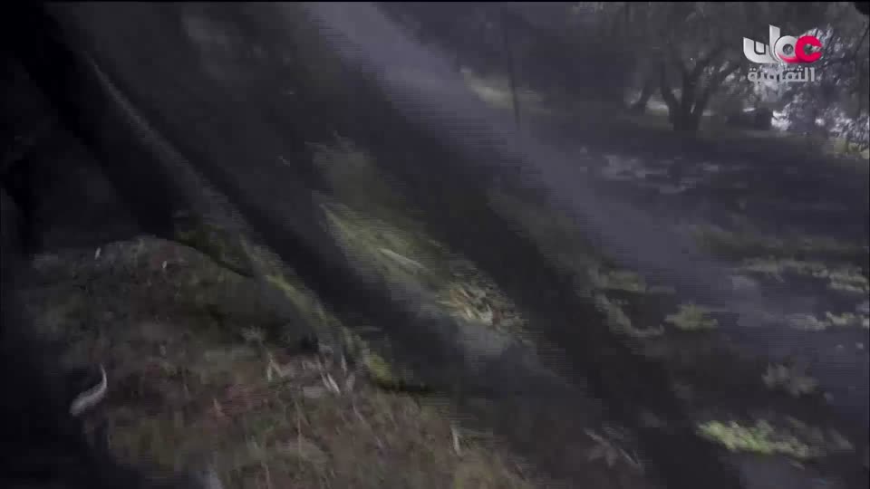 البرنامج الثقافي - زيوت عطرية - الحلقة 13