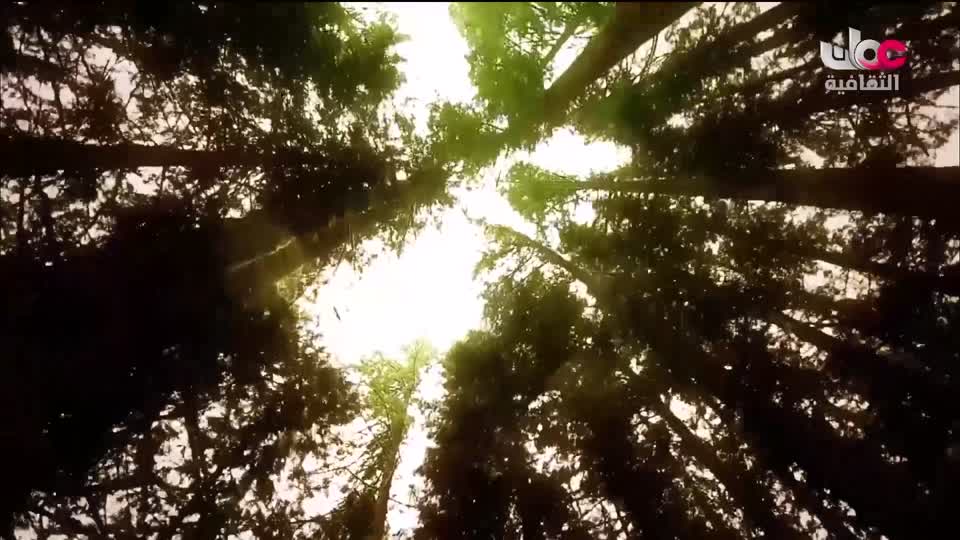 البرنامج الثقافي طرقات وعرة - الحلقة 10