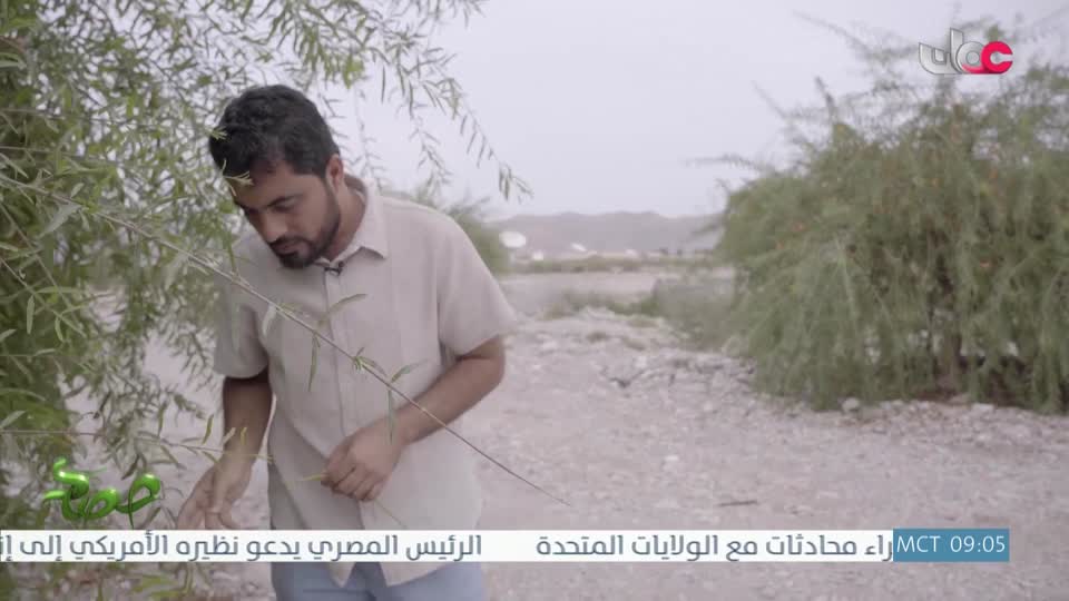 البرنامج العلمي - حصاد - الحلقة 10