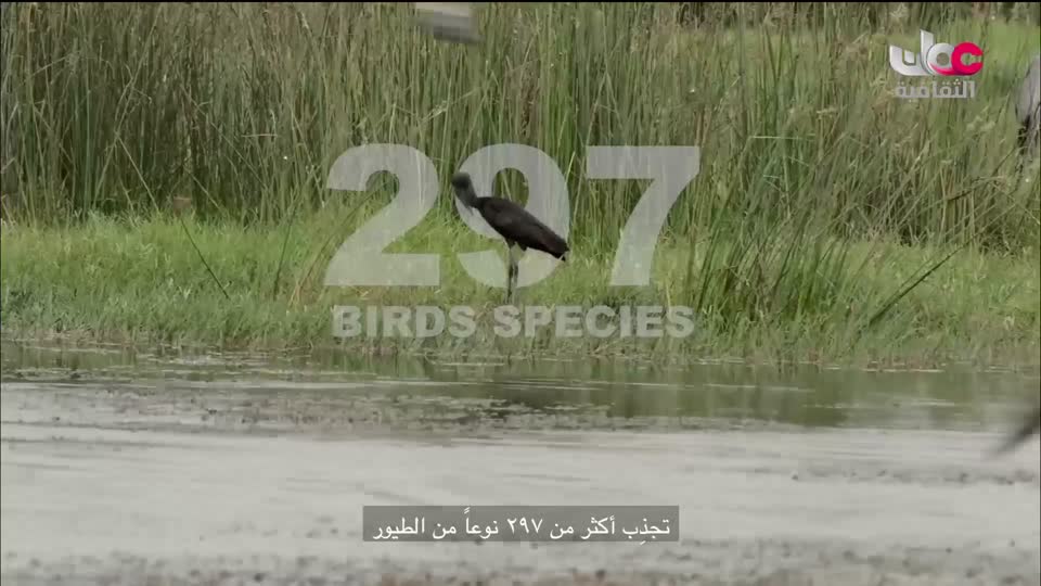 لوحات من العالم - الحلقة 42