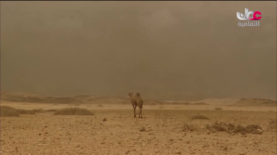 البرنامج الثقافي - غرائب الصحاري - الحلقة 3