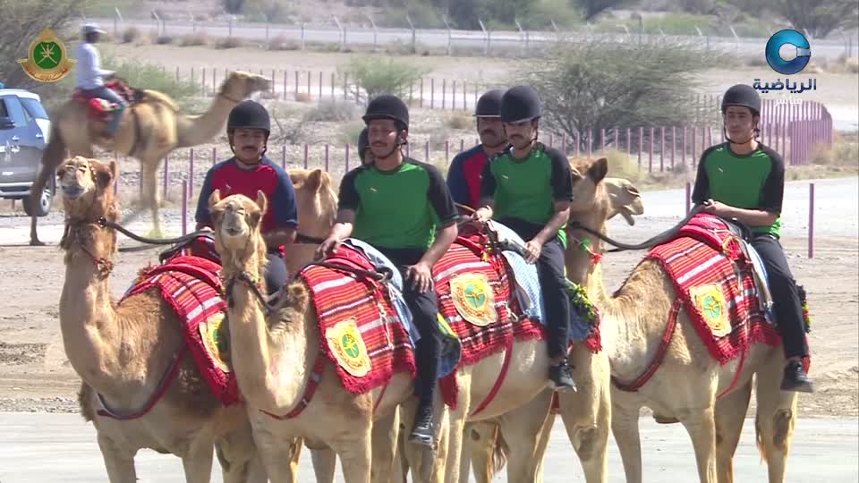 أغنية وطنية خاصة بالهجن - المجموعة