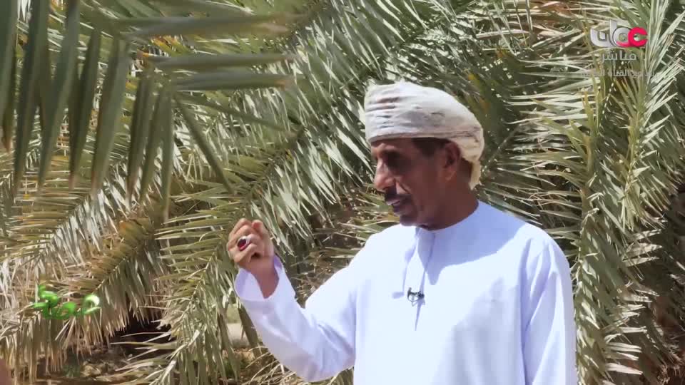 البرنامج العلمي - حصاد - الحلقة 11