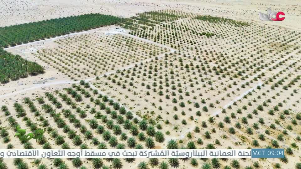 البرنامج العلمي - حصاد - الحلقة 11