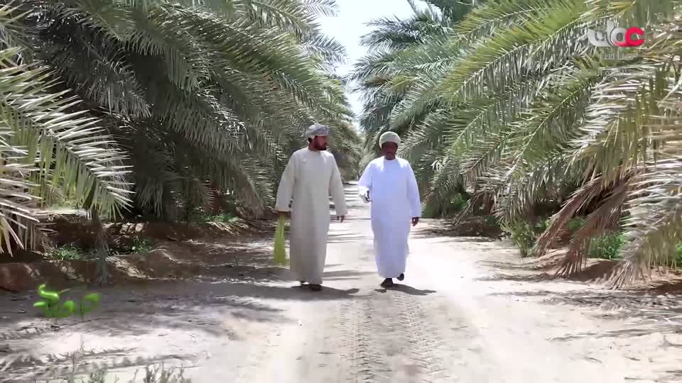 البرنامج العلمي - حصاد - الحلقة 11