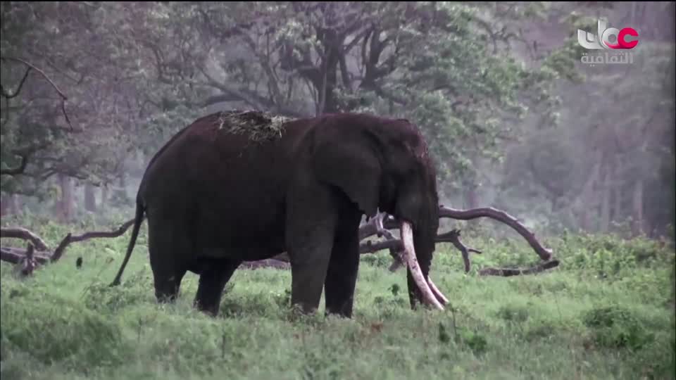 البرنامج الثقافي - الحواس الخارقة - الحلقة 2