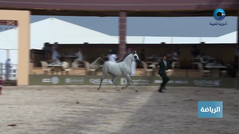 النشرة الرياضية