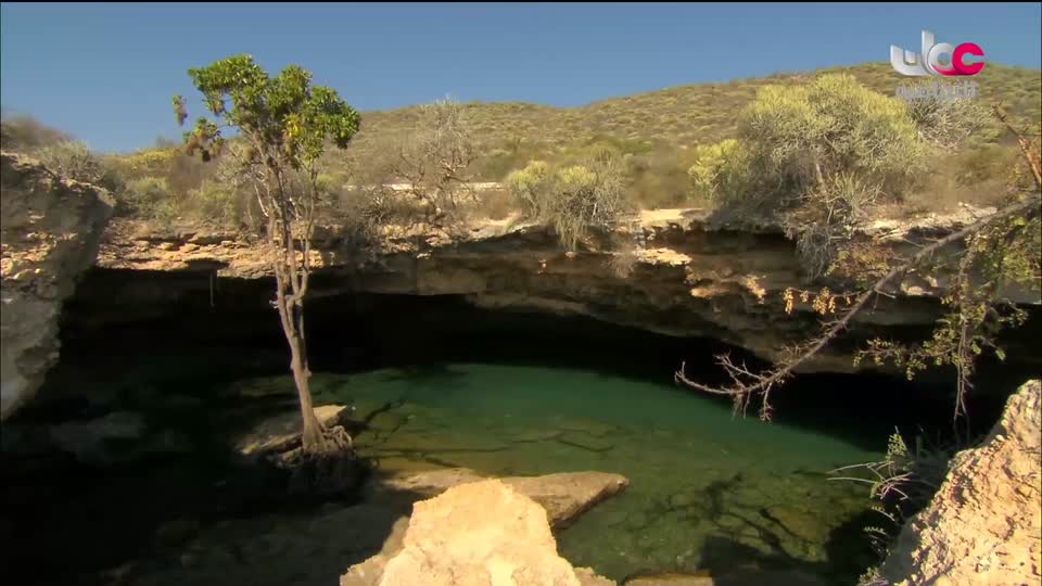 البرنامج الثقافي - العالم لك - الحلقة 11