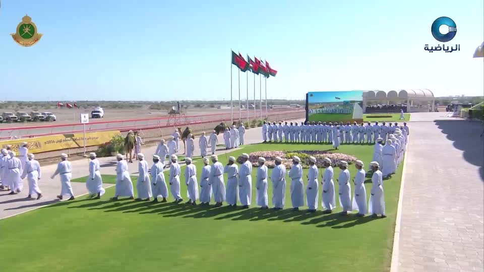 نهائي الهجن