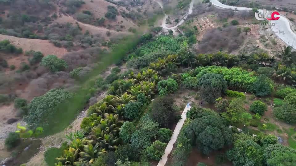 البرنامج العلمي - حصاد - الحلقة 12