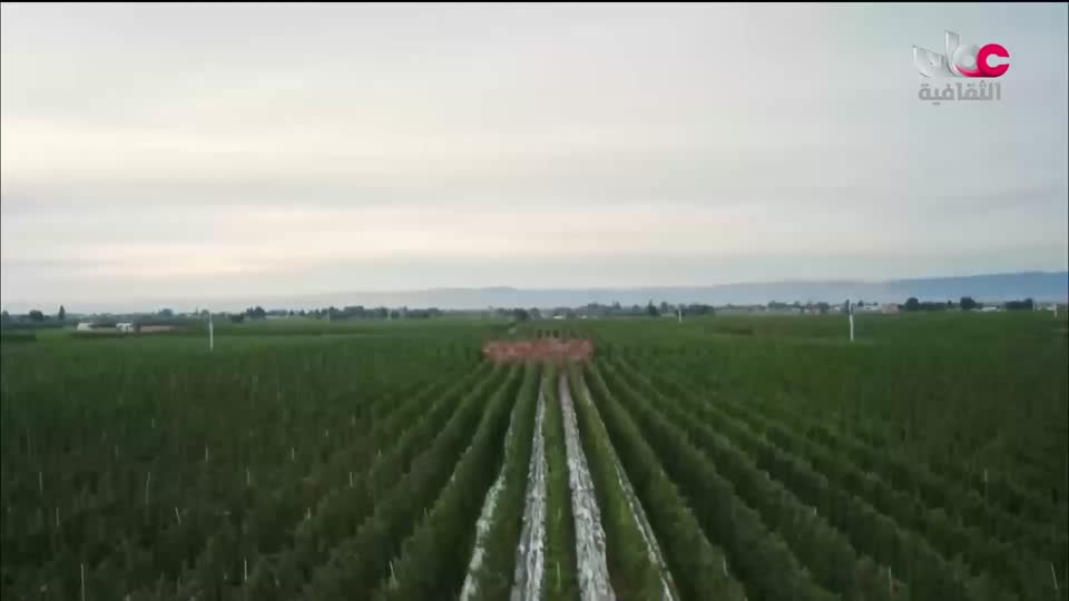 برنامج - فيتامينات - الحلقة 83