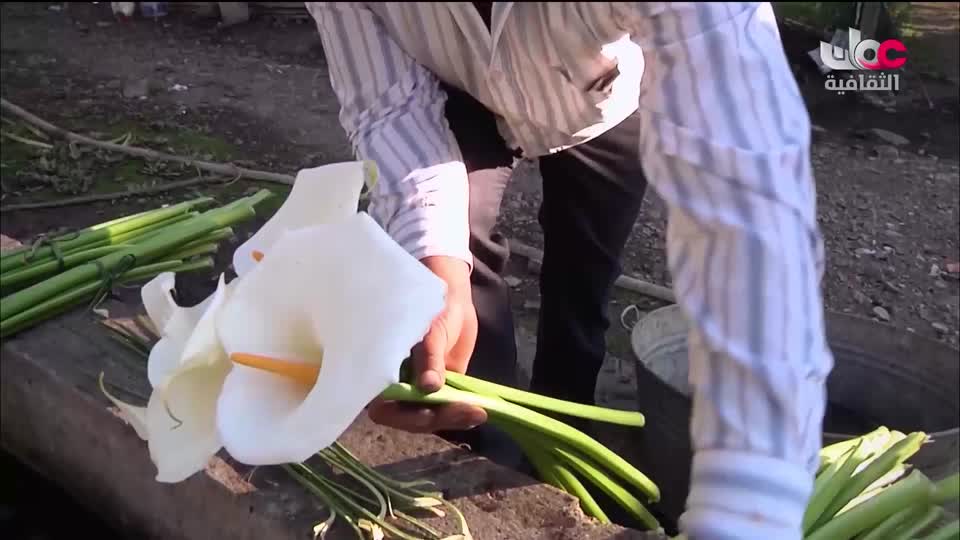 البرنامج الثقافي - المناخ والطبيعة - الحلقة 12