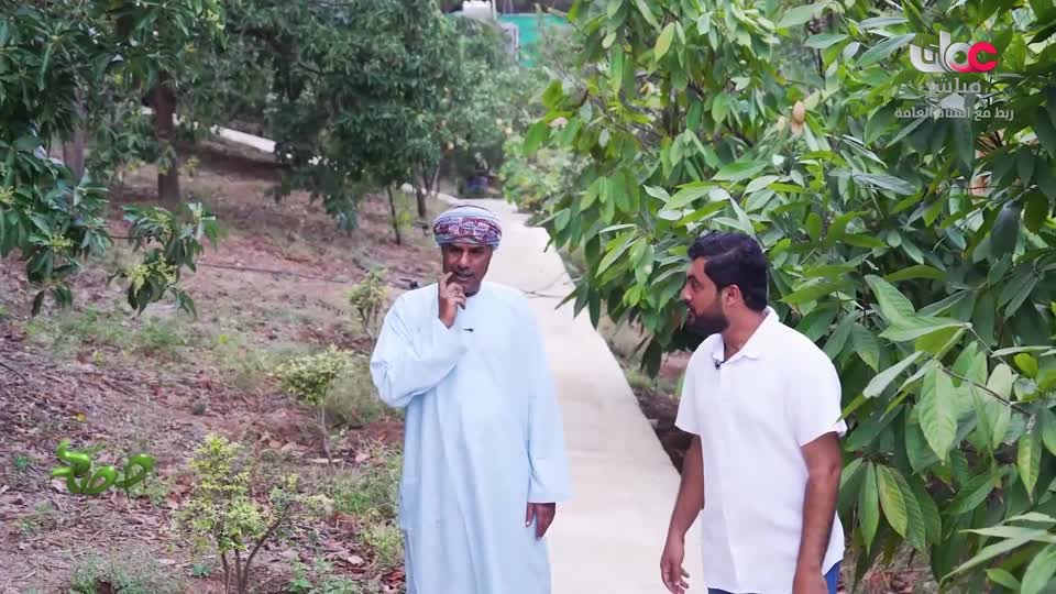 البرنامج العلمي - حصاد - الحلقة 12