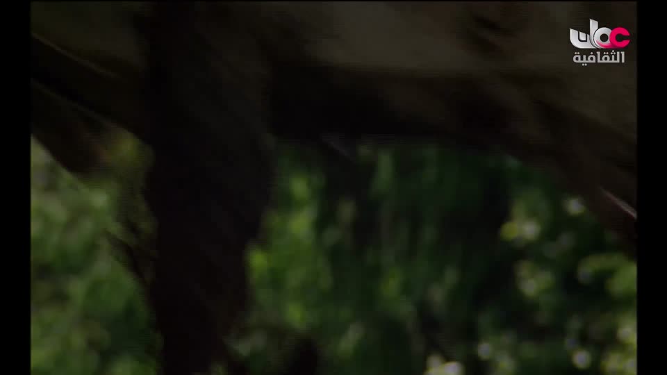 سبحانك ربي - الحلقة 14