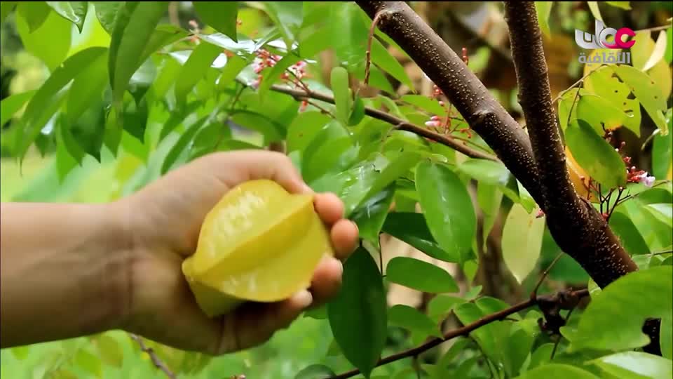 بحيرات وجبال - الحلقة 12