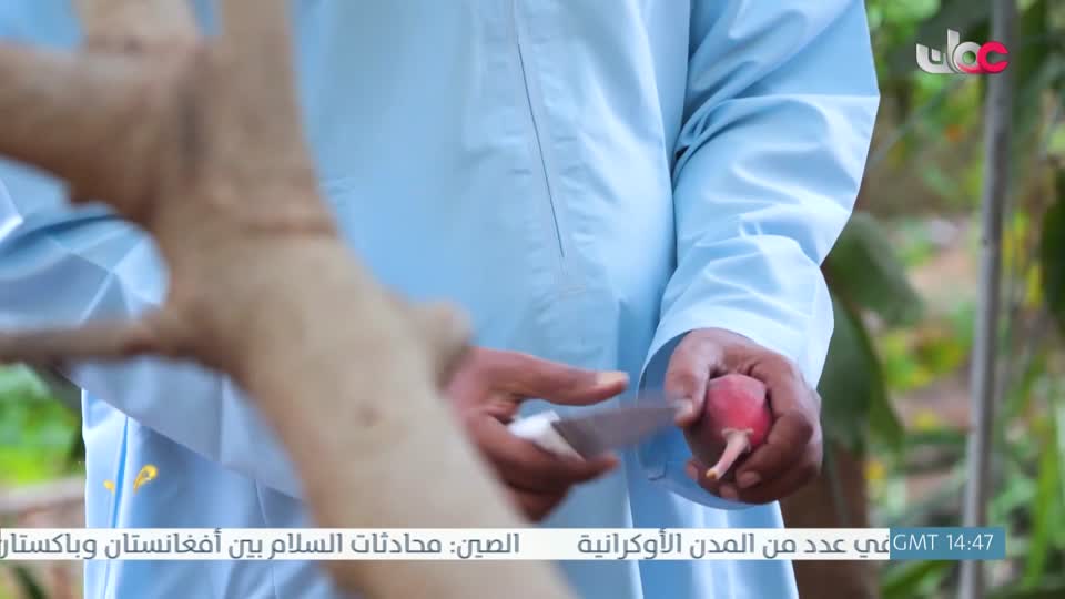 البرنامج العلمي - حصاد - الحلقة 12