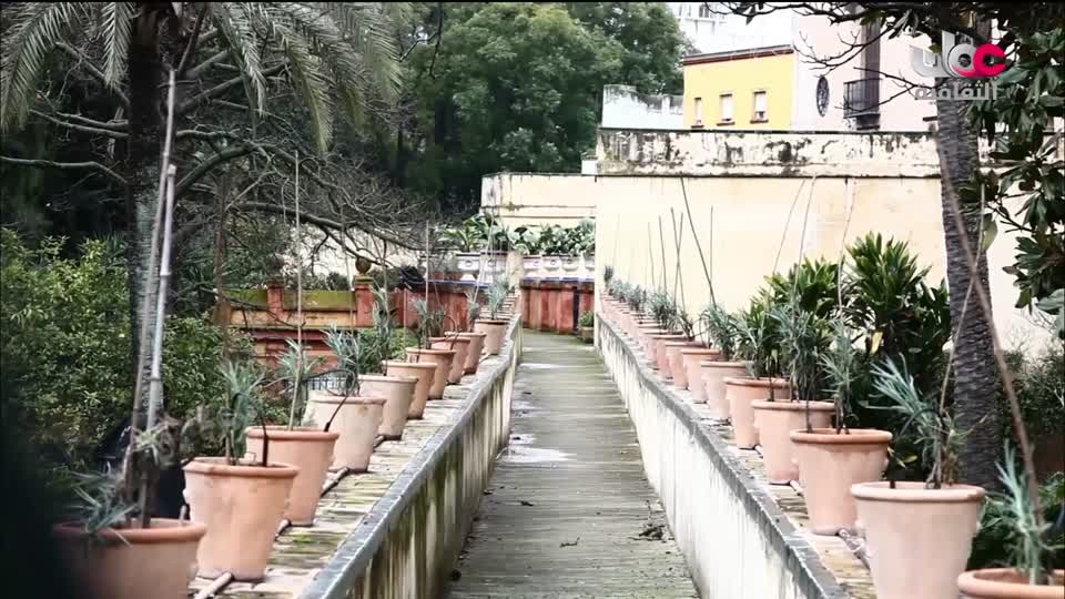 البرنامج الثقافي الآثار الاسلامية في الأندلس