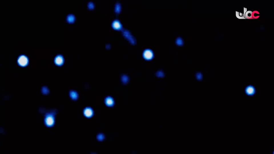 طاقة الحياة