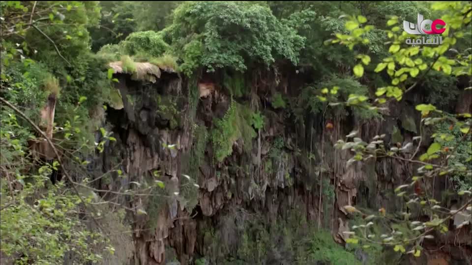 البرنامج الثقافي - غرائب الصحاري - الحلقة 1