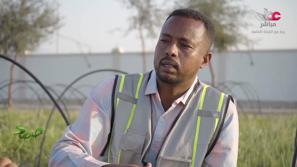 البرنامج العلمي - حصاد - الحلقة 13