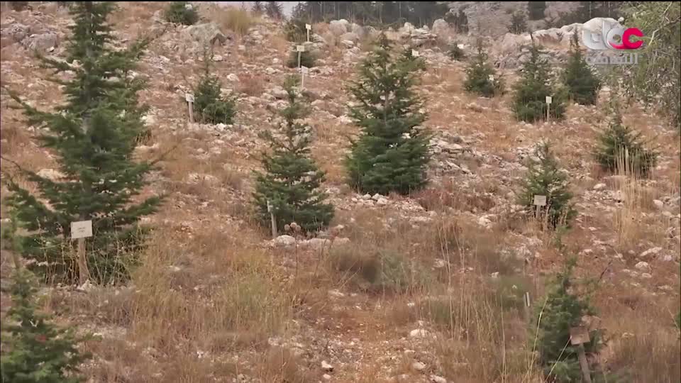 برنامج/اغاني مفرغة-موشحات - مركز عمانللموسيقى التق