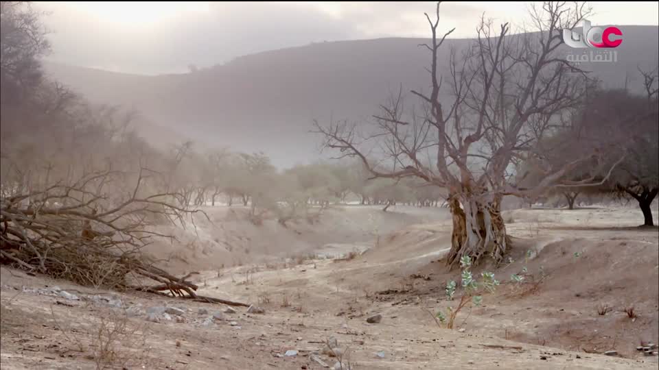 برنامج - أقنعة وكنوز - الحلقة 2