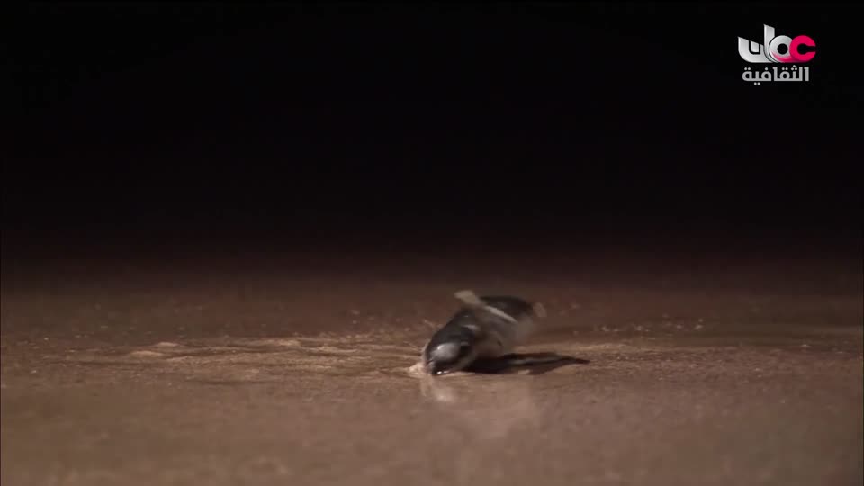 البرنامج الثقافي - المناخ والطبيعة - الحلقة 13