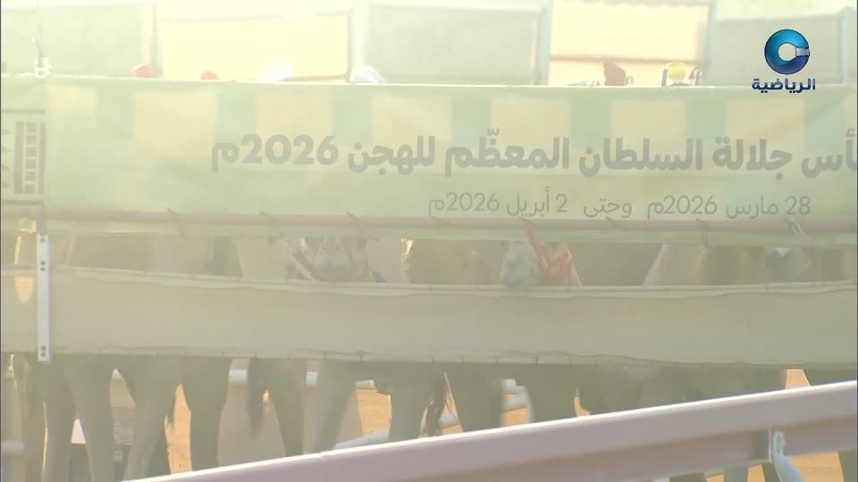السباق الختامي لكأس جلالة السلطان للهجن - الفليج 2026 - الحلقة 4