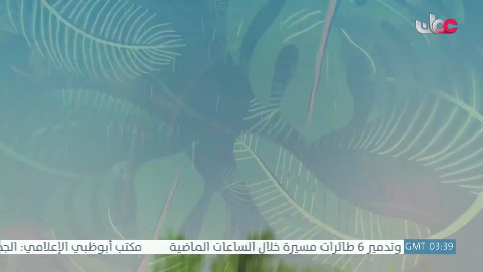 مسلسل الاطفال - حكاية جدتي - الحلقة 12