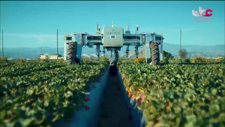 برنامج - أنا البحر - الحلقة 13