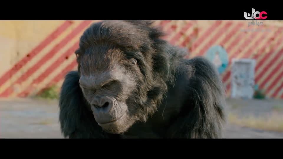 المسلسل التركي - عودة الروح - الحلقة 12