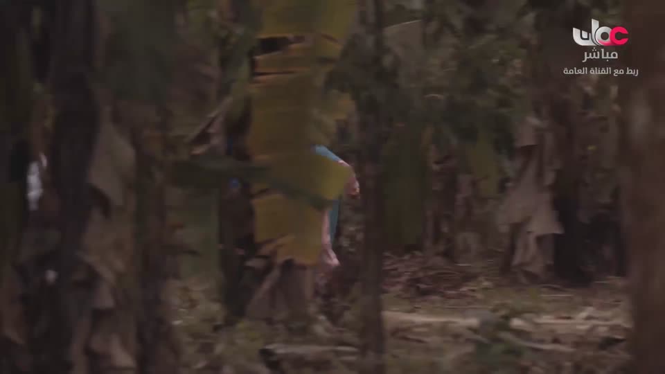 برنامج - أحسن القصص - الموسم الرابع - الحلقة 14