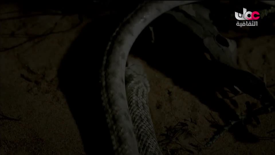 أغاني مفرغة - موشحات - لمركز عمان للموسيقى التقليدية - الحلقة 1