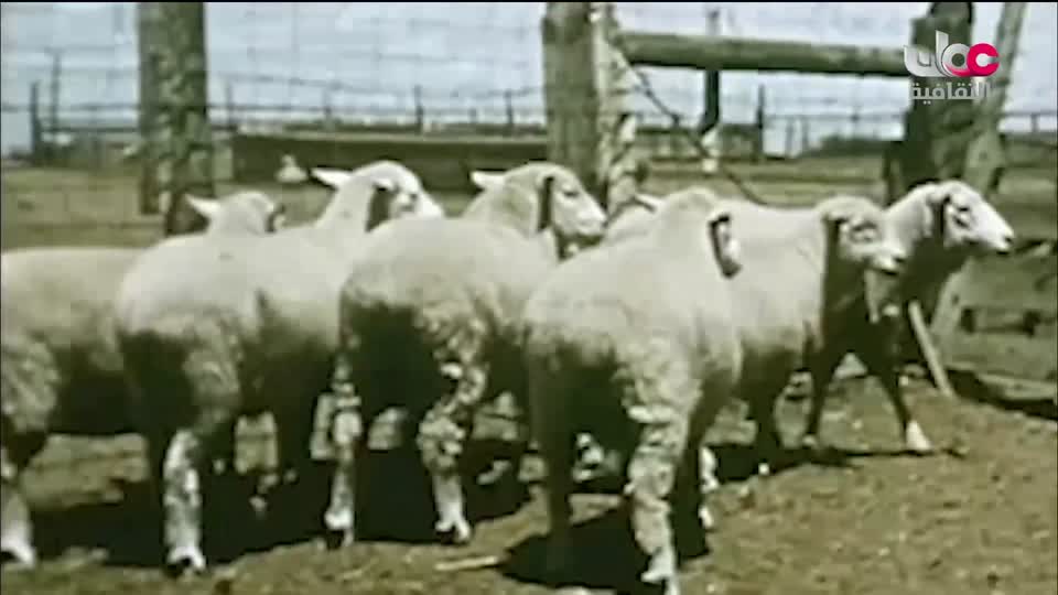 البرنامج الثقافي - اختراعات عظيمة - الحلقة 14