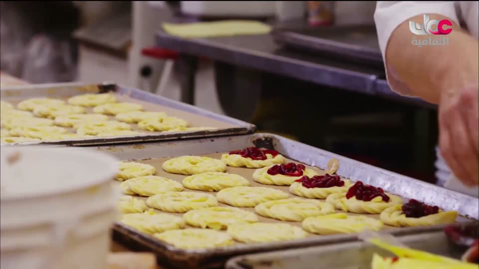 البرنامج الثقافي - العالم لك - الحلقة 17