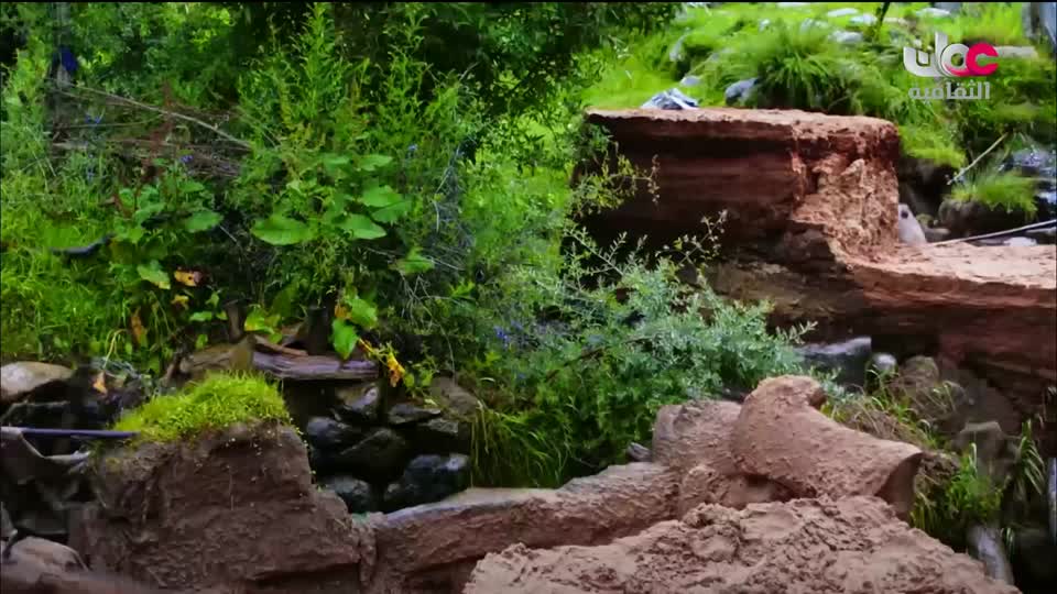 البرنامج الثقافي رحلة اكتشاف وتطور - الحلقة 14