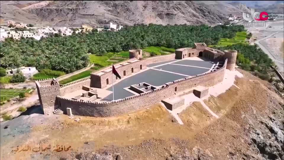 البرنامج الثقافي - عالم الأشجار